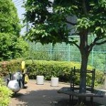 豊町二丁目児童遊園